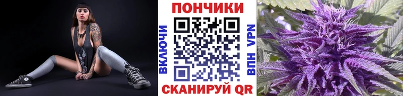 Купить наркоту Нестеров СК  Конопля  КОКАИН 