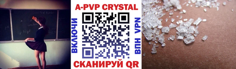 A-PVP СК КРИС Нестеров