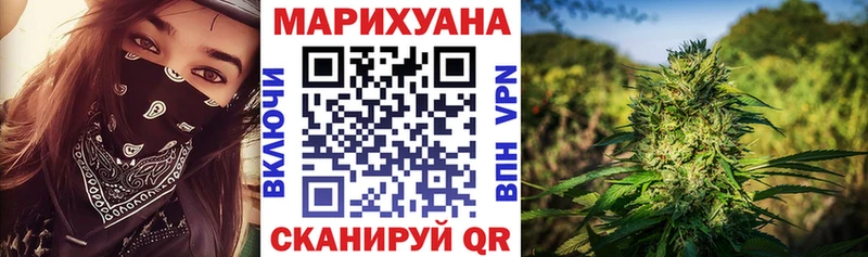 Каннабис индика Нестеров